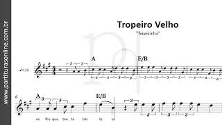 Tropeiro Velho ♪ Teixeirinha  Partitura [upl. by Auhso117]