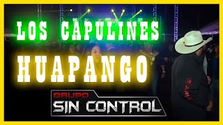 ‘LOS CAPULINES’ HUAPANGO GRUPO SIN CONTROL [upl. by Allista]