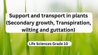 Support and transport in plants Secondary growth Transpiration wilting and guttation [upl. by Toile122]