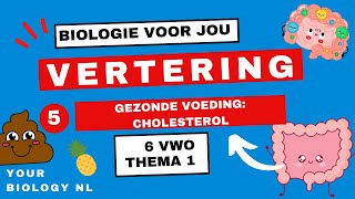 6 vwo  Vertering  5  Gezonde voeding cholesterol [upl. by Nnil]