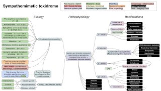 Sympathomimetic toxidrome mechanism of disease [upl. by Eloise]