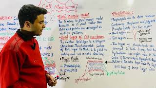 Cell Membrane  Composition  Structure  Function [upl. by Minier]