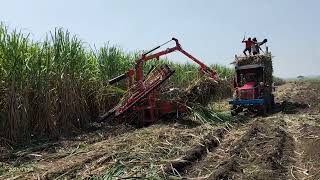 hanje sugarcane harvesting and lodging machine [upl. by Sucrad]