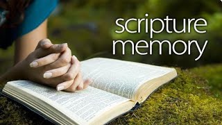 Memorizing Scripture  April 7 2024 Sermon  Lisa Denig [upl. by Bocoj455]