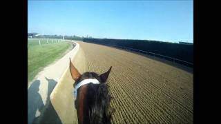 Havre de Grace 5F workout with Jockey Cam in HD [upl. by Ludovika]