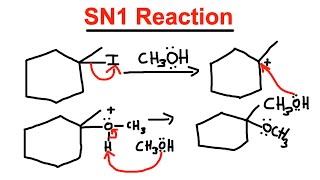 SN1 Reaction  Mechanism Protic Solvent Racemic Mixture  Organic Chemistry [upl. by Oremar]