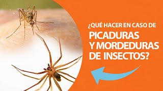 ¿Qué hacer en caso de picaduras y mordeduras de insectos [upl. by Ayeka]