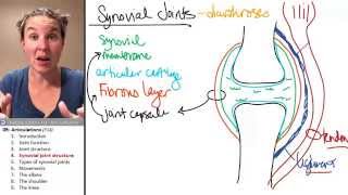 Articulations 4 Synovial joint anatomy [upl. by Grethel621]