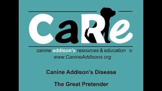 Canine Addisons Disease  The Great Pretender  CARE [upl. by Neerac]