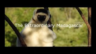 The Extraordinary Madagascar  Madagascar Travels and Tours 2023  2024 [upl. by Donald]