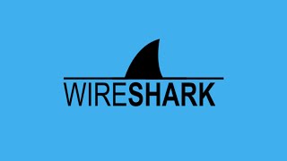 UDP Deep Dive in Wireshark [upl. by Enoek773]