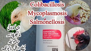 Antibiotic to Treat Salmonellosis Mycoplasmosis and Colibacillosis in Poultry  Dr ARSHAD [upl. by Cutlip929]