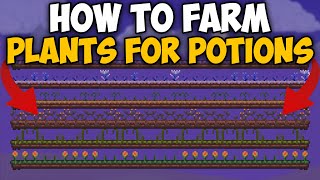 How To Farm Plants for Potions in Terraria 1449  Plants for Potions Farm Terraria [upl. by Eleazar]