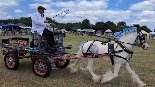 Chertsey show 2024 light trade class [upl. by Berkley353]