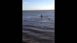 2013 Aberdour Loony Dook  James Lyon and Rory Pyper [upl. by Eseekram]