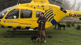 Pheasant Shooting 25th January 2019 with Helicopter Rescue [upl. by Llehcar]