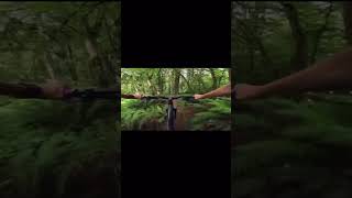 Steep Mtb trail magurabrakes whostopsyou [upl. by Ilenna]