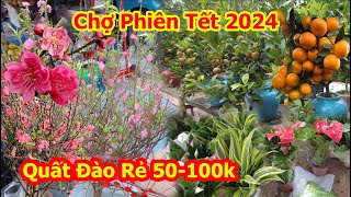 Chợ Phiên Tết 2024 Hà Nội  Quất Tết Đẹp Hoa Đào Không Khí Tết Ngập Tràn Rồi [upl. by Ydda]