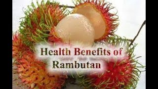 RAMBUTAN  Mura Masustansya at Masarap  Payo ni Doc Willie Ong 573 [upl. by Gnehc]