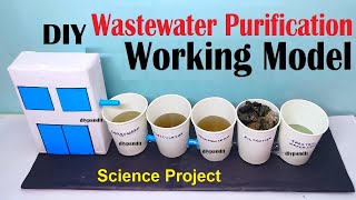 wastewater treatment or purification working model for science project exhibition  DIY pandit [upl. by Albur]