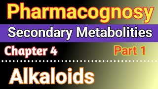 Pharmacognosy Chapter 4 in hindi  Secondary Metabolities  Alkaloids in hindi  Part 1 [upl. by Schild]