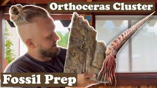 Find and prep Ordovician Orthoceras Cluster [upl. by Ahsirkal]