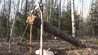 How To Make A MASSIVE Deadfall Trap [upl. by Allemrac]