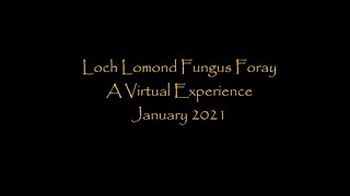 Loch Lomond Virtual Fungus Foray January 2021 [upl. by Devondra]