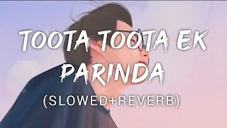 TOOTA TOOTA EK PARINDA BEST SLOWEDREVERB SONG 2024 [upl. by Pietra]