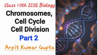 Chromosomes Cell Cycle and Cell Division Part 2 ।। DNA Replication ।। Class 10th ICSE Biology [upl. by Polk]