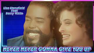 LISA STANSFIELD feat BARRY WHITE NEVER NEVER GONNA GIVE YOU UP Extended Version [upl. by Nifares]