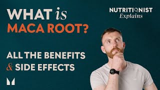 Maca Root Explained  All the benefits amp Side effects  Myprotein [upl. by Reich623]