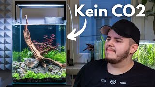 Aquascaping Tutorial 30L Dennerle Nano Cube einrichten [upl. by Ainoet]