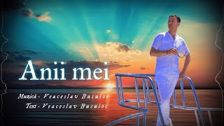 Veaceslav Busuioc  Anii mei I Official Audio [upl. by Llen]