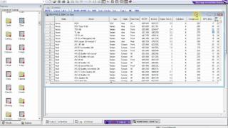 SAS for True Beginners Part 1 [upl. by Seadon]