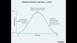 You need to know YerkesDodson Law to perform better [upl. by Aerdnod865]