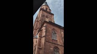 Church of the Holy Spirit in Heidelberg State of Baden Württemberg Germany travel spring birds [upl. by Aksehcnarf201]