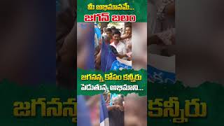 జగనన్న కోసం కన్నీరు పెట్టుకున్న అభిమాని  🙏  ysjagan ysrcp shorts [upl. by Naejeillib]