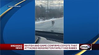 Rabies confirmed in coyote that attacked family [upl. by Lunn664]