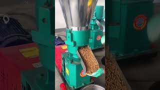 Pellet Machine  Animal feed machine  making animal feed  Chicken feed [upl. by Lingwood257]