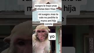 chistes memesvideo paratii humormemes [upl. by Ellenahc]