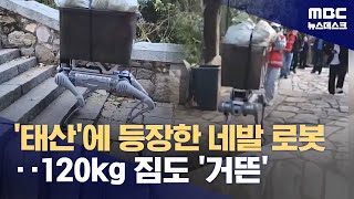 중국 태산 오르내리는 네발 로봇‥120kg 짐도 거뜬 20241022뉴스데스크MBC [upl. by Adiuqram]