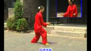 Xu Wenhui Xingyiquan Composite Form [upl. by Relluf61]