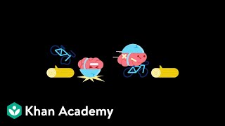 LearnStorm Growth Mindset The Truth About Your Brain [upl. by Naga]