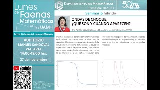 Dra Patricia Saavedra Barrera Departamento de Matemáticas UAMI [upl. by Assirak]