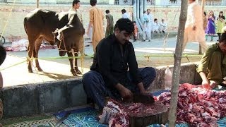 Cows slaughtered as Pakistan celebrates Eid alAdha [upl. by Vite752]