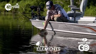 Bobby Cole Bass Fishing  Elements [upl. by Ysak669]