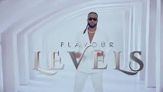 Flavour  Levels Official music video [upl. by Menard]