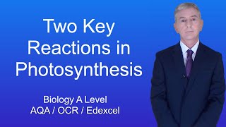 A Level Biology Revision Year 13 quotTwo Key Reactions in Photosynthesisquot [upl. by Acilef]