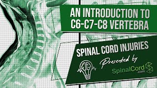 C6 C7 C8 Definitions Cervical Spinal Cord Injury Symptoms Causes Treatments and Recovery [upl. by Centeno]